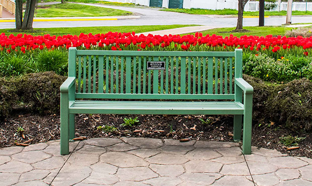 A Reading Bench with commemorative plaque in a local park