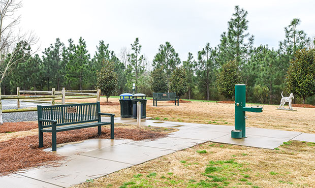 Commemorative Reading benches with plaques and Harmony Litters at a dog park