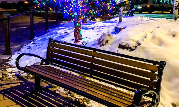 Picture of KRD Schenely Bench with Christmas Lights