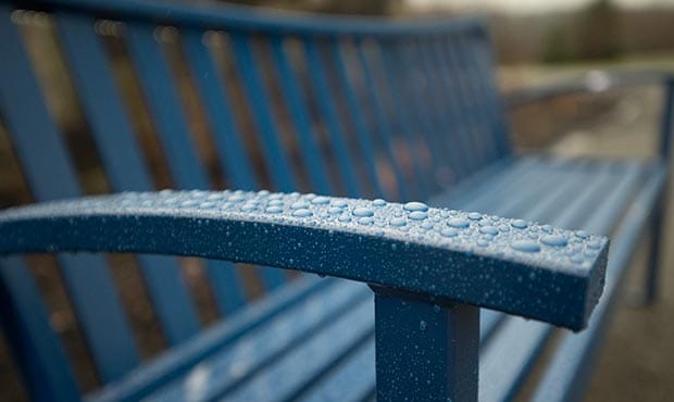 Exeter Bench detail in the rain