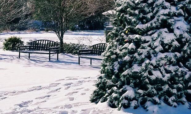 A pair of McConnell Benches with Back in the snow