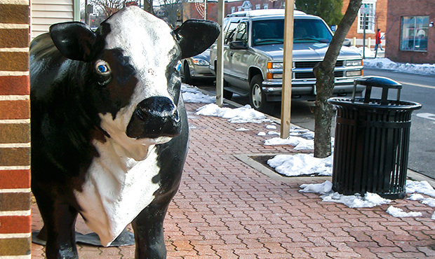 A Midtown Litter Receptacle keeping a cow company on a streetscape